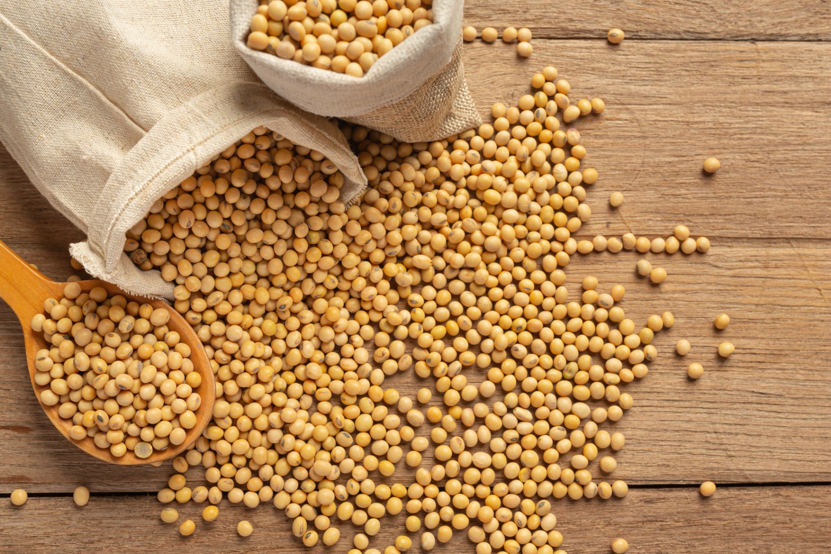 SOYA SHELF LIFE – A NEW PERSPECTIVE